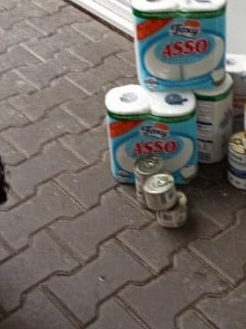 Projekt MyWyOni w Tarnowskich Górach Projekt MyWyOni w Tarnowskich Górach