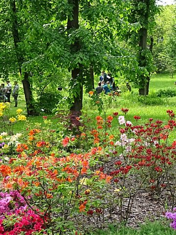 Śląski Ogród Botaniczny w Radzionkowie Śląski Ogród Botaniczny w Radzionkowie
