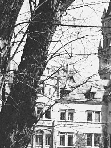 Pałac w Nakle Śląskim Pałac w Nakle Śląskim