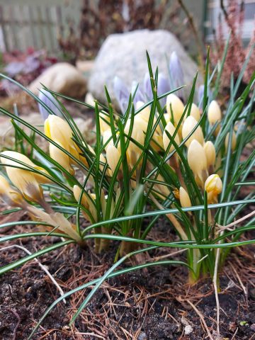 Wiosna na Osiedlu Przyjaźń Wiosna na Osiedlu Przyjaźń