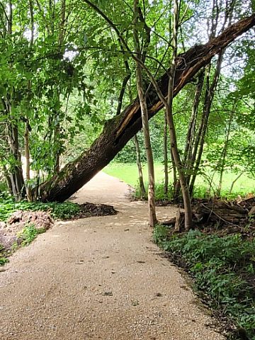 Ścieżka w Kamieńcu Ścieżka w Kamieńcu