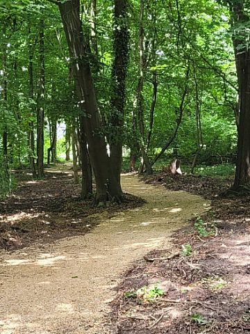 Ścieżka w Kamieńcu Ścieżka w Kamieńcu