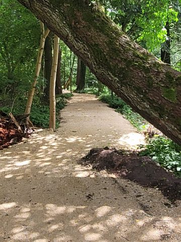 Ścieżka w Kamieńcu Ścieżka w Kamieńcu