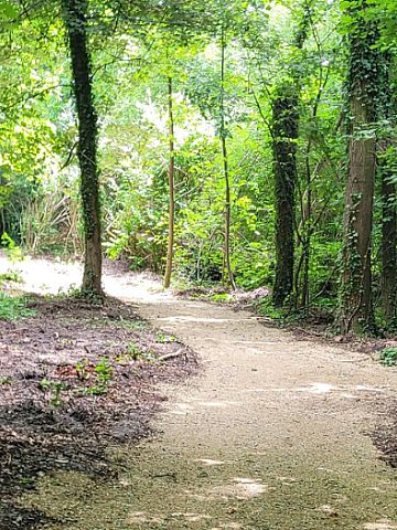 Ścieżka w Kamieńcu Ścieżka w Kamieńcu