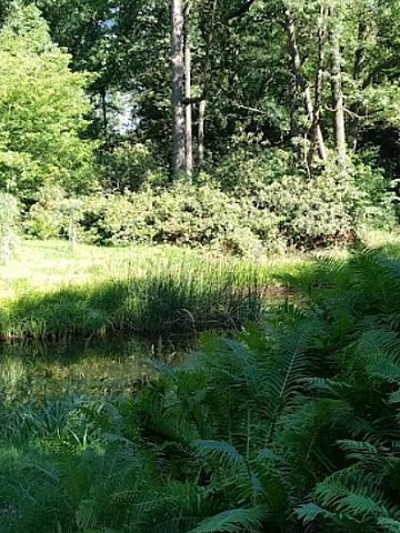Ogród botaniczny w Brynku Ogród botaniczny w Brynku