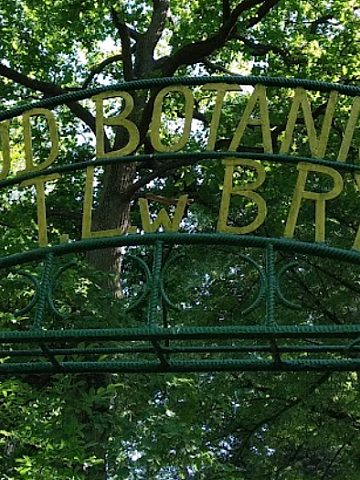 Ogród botaniczny w Brynku Ogród botaniczny w Brynku