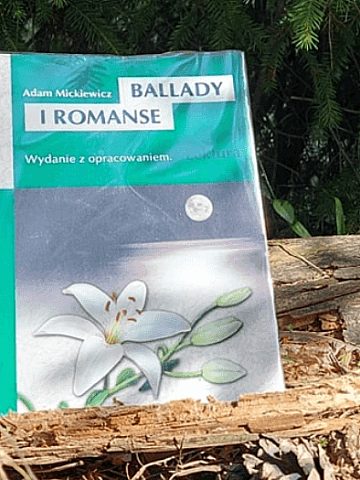 Narodowe Czytanie 2022 w Miasteczku Śląskim Narodowe Czytanie 2022 w Miasteczku Śląskim