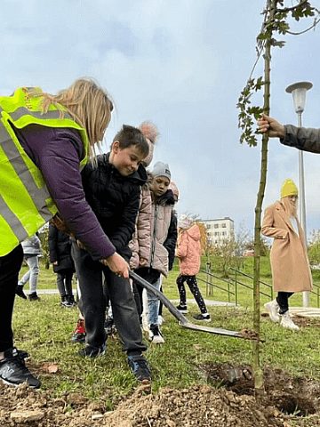 Tarnogórzanie sadzą nowe drzewka Tarnogórzanie sadzą nowe drzewka