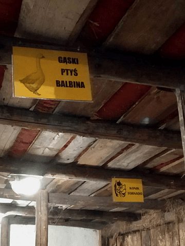 Żywa stajenka w Strzybnicy Żywa stajenka w Strzybnicy