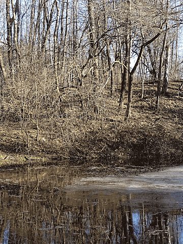 Śląski Ogród Botaniczny w Radzionkowie Śląski Ogród Botaniczny w Radzionkowie