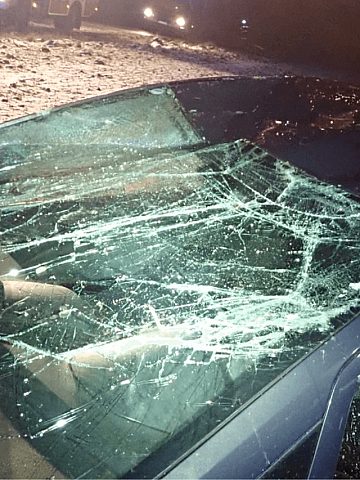 Dachowanie w Księżym Lesie Dachowanie w Księżym Lesie