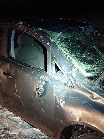 Dachowanie w Księżym Lesie Dachowanie w Księżym Lesie