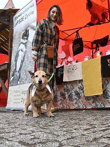 Tarnogórski Jarmark Wielkanocny Tarnogórski Jarmark Wielkanocny