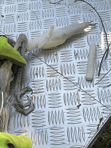 Akcja ratunkowa OSP Świerklaniec Akcja ratunkowa OSP Świerklaniec