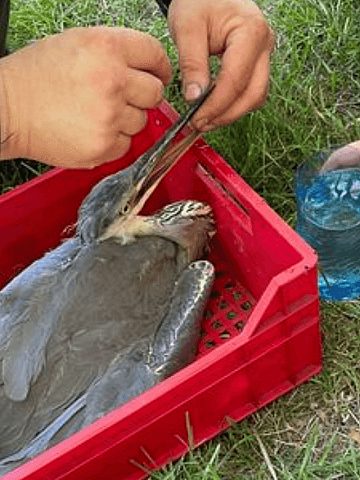 Akcja ratunkowa OSP Świerklaniec Akcja ratunkowa OSP Świerklaniec