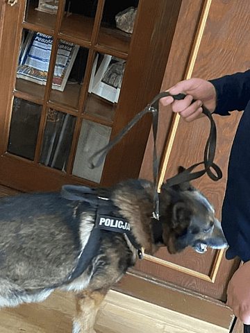 Próbne ćwiczenia w Tarnowskich Górach Próbne ćwiczenia w Tarnowskich Górach