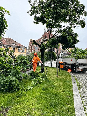 Skutki burzy w Tarnowskich Górach Skutki burzy w Tarnowskich Górach