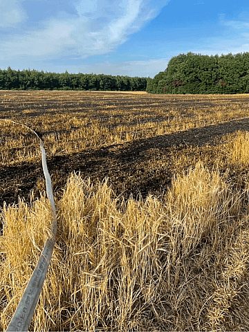 Pożar pola w Wieszowie Pożar pola w Wieszowie