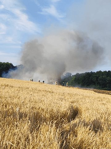 Pożar pola w Wieszowie Pożar pola w Wieszowie
