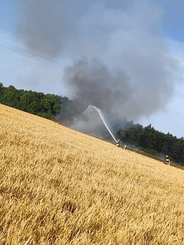 Pożar pola w Wieszowie Pożar pola w Wieszowie