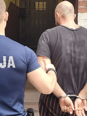 Pościg w powiecie tarnogórskim Pościg w powiecie tarnogórskim