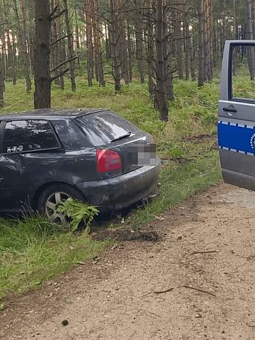Pościg w powiecie tarnogórskim Pościg w powiecie tarnogórskim