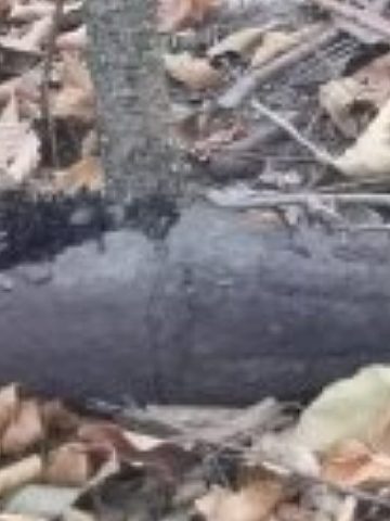 Pocisk znaleziony między Strzybnicą a Hanuskiem Pocisk znaleziony między Strzybnicą a Hanuskiem