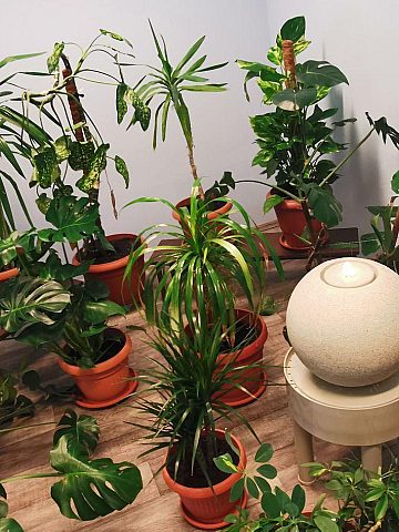 Zielona Pracownia w Radzionkowie Zielona Pracownia w Radzionkowie