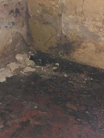 zalany dom Orzech zalany dom Orzech