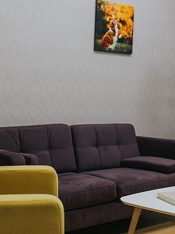 Esthima salonik dla wlascicieli zwierzat Esthima salonik dla wlascicieli zwierzat