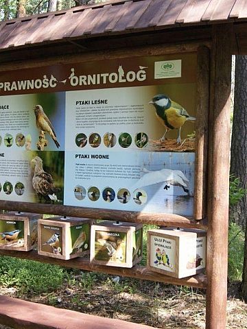 Kalety zielona zalew Kalety zielona zalew