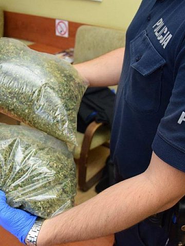 Marihuana kalety 11 Marihuana kalety 11