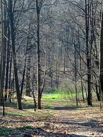 Park repecki zdjecia Park repecki zdjecia