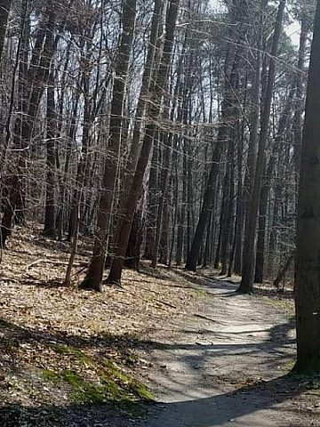 Park repty slaskie Park repty slaskie