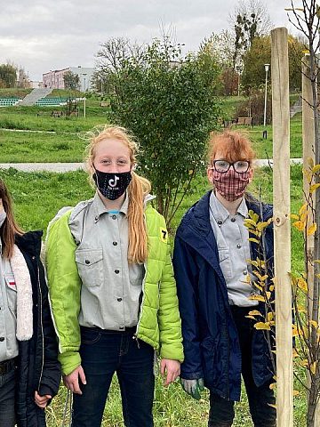 Sadzimy zielone pluca miasta 1 Sadzimy zielone pluca miasta 1