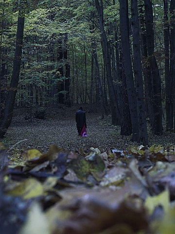 Tg story tck Tg story tck