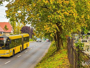 Tarnowskie Góry. Rozkład jazdy autobusów 1 listopada 2021 Tarnowskie Góry. Rozkład jazdy autobusów 1 listopada 2021