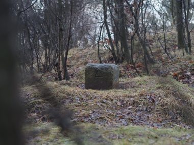 Nad Trockenbergiem w Suchej Górze powstanie wieża widokowa Nad Trockenbergiem w Suchej Górze powstanie wieża widokowa
