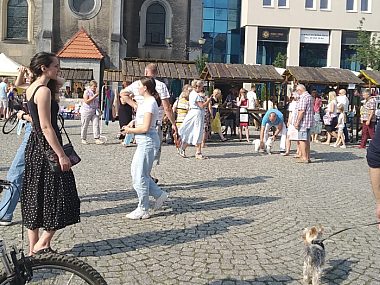 Pierwsze wyniki Narodowego Spisu Powszechnego 2021 Tarnowskie Góry 2022