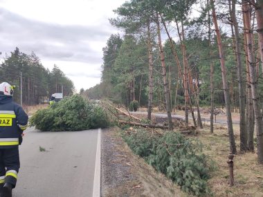 Strażacy z OSP Kalety w akcji Strażacy z OSP Kalety w akcji