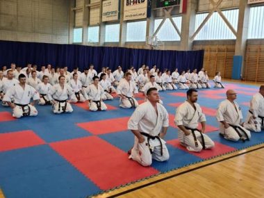 Mistrzostwa Karate Shinkyokushin w Nakle Śląskim. Do naszego powiatu przyjadą sportowcy z całej Polski Naklo slaskie mistrzostwa karate