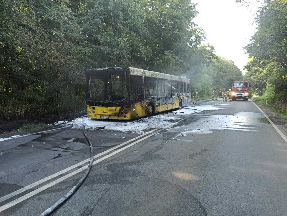 Doszczętnie spalony autobus