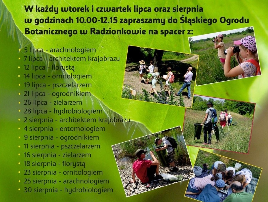 Śląski Ogród Botaniczny w Radzionkowie wakacje 2022