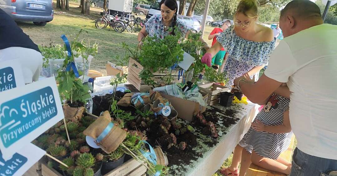 Święto Ryby i zabawa w Truszczycy. Tak ostatni weekend wakacji planują Kalety