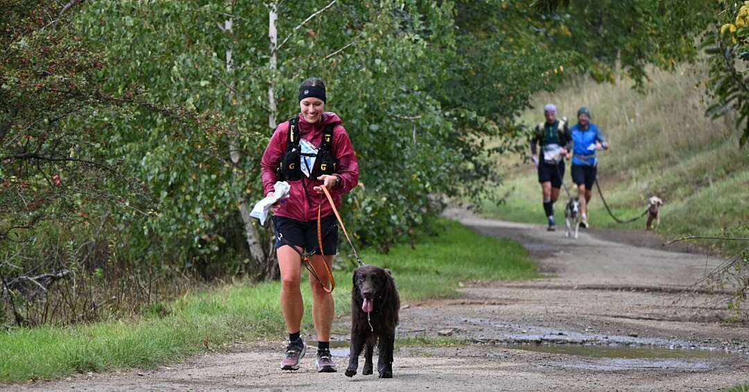 I Tarnogórski Dogtrekking. W Srebrnym Mieście o zwycięstwo walczyli miłośnicy psiaków ze swoimi podopiecznymi