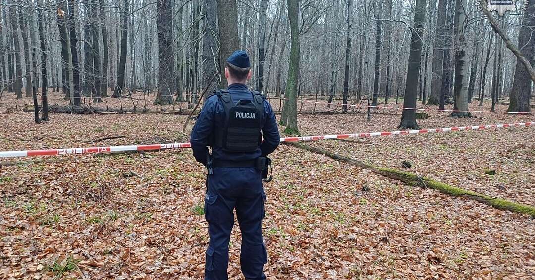 Niebezpieczne znalezisko w Parku Repeckim. Zgłaszający natknął się na dwa niewybuchy