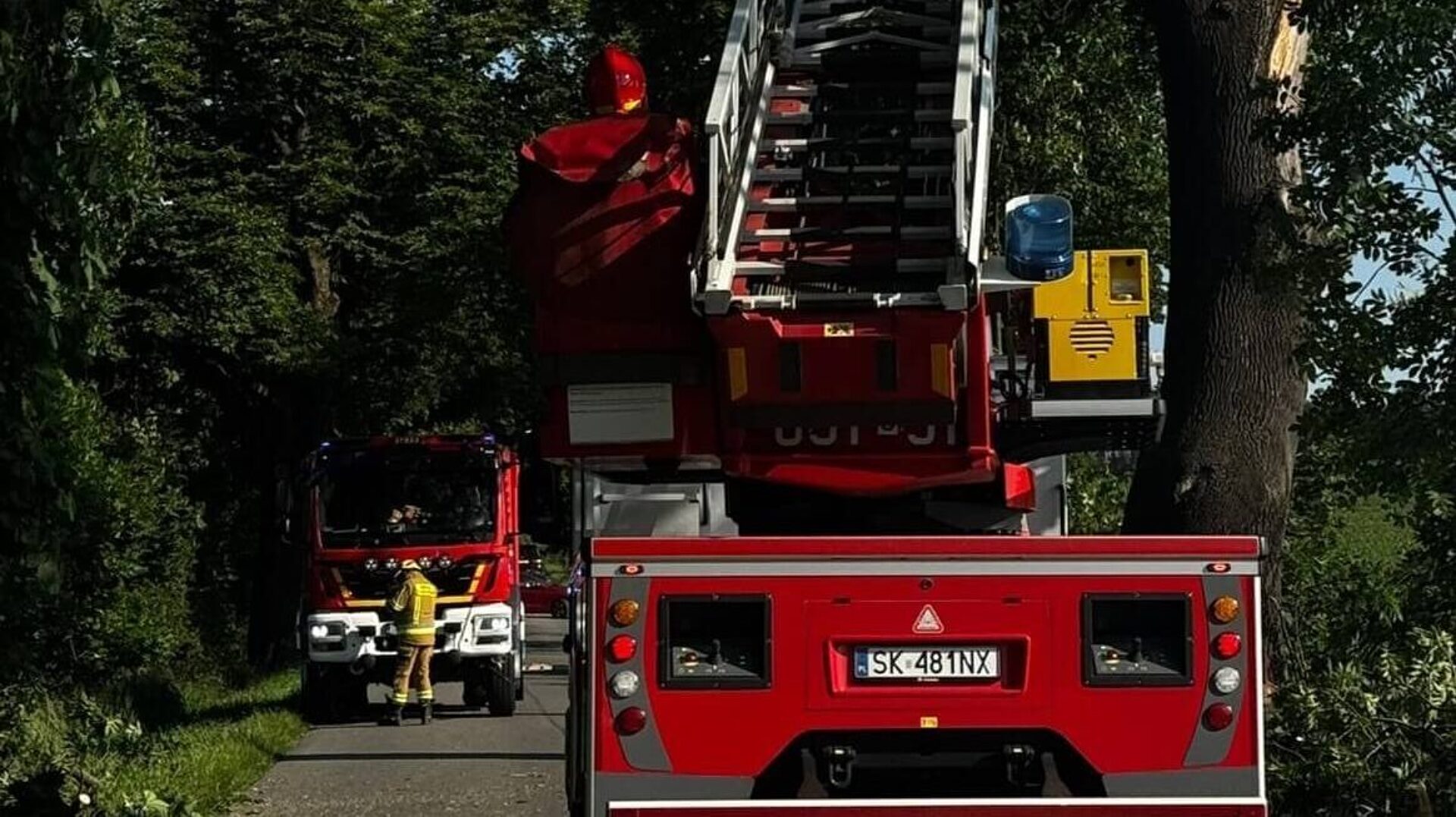 Ptakowice drzewo spadlo na samochod Ptakowice drzewo spadlo na samochod