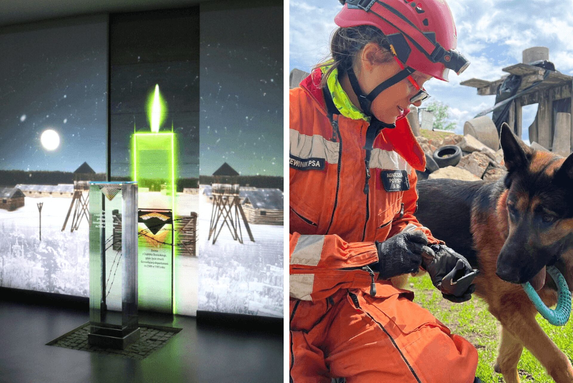 Tarnowskie gory nagroda orla i rozy 2025 Tarnowskie gory nagroda orla i rozy 2025