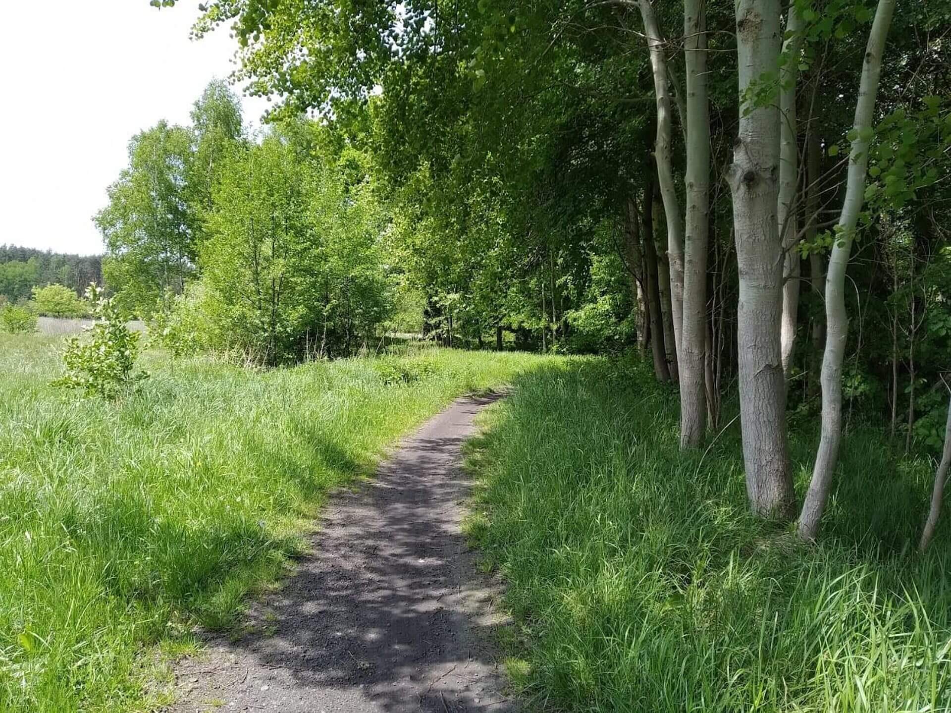 Powiat tarnogorski las Powiat tarnogorski las