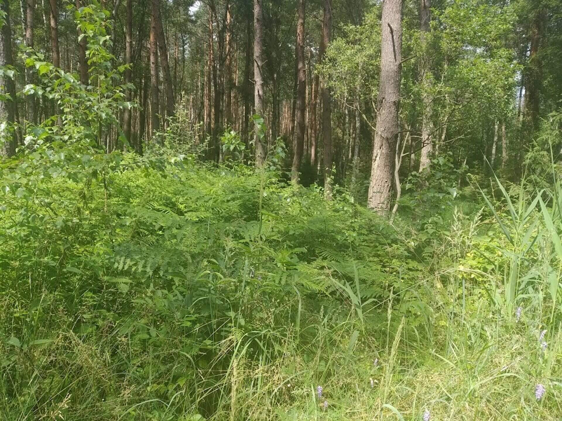 Kalety miasteczko cwiczenia wojskowe Kalety miasteczko cwiczenia wojskowe